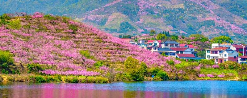 金东区景点（金东区风景区）