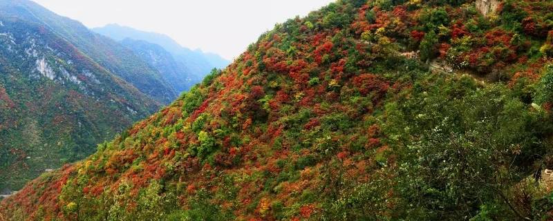 略阳县景点 略阳县旅游景点