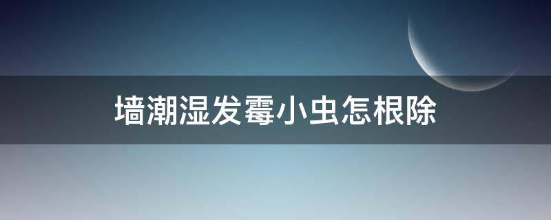 墙潮湿发霉小虫怎根除 墙潮湿发霉小虫怎根除虫子