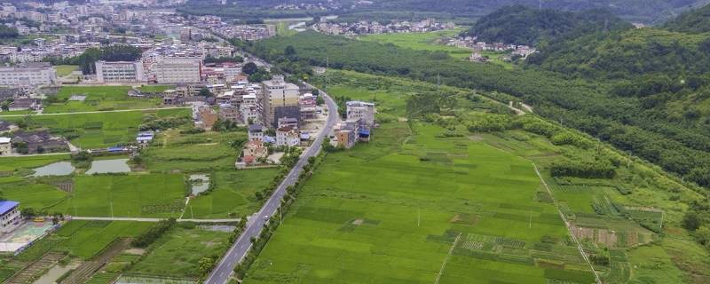 蒲田镇是哪个省（莆田市有几个县市区）