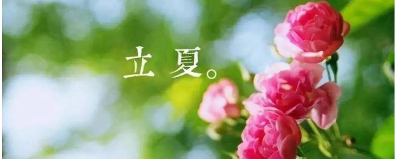 立夏又名什么（立夏又叫什么名字）