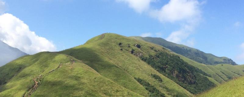 怎么理解绿水青山就是金山银山 怎么理解绿水青山就是金山银山这句话论文