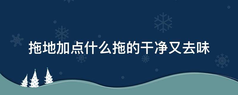 拖地加点什么拖的干净又去味 拖地有味道加点什么