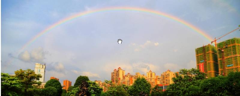 雨后景物有哪些变化 雨后景物的变化有哪些