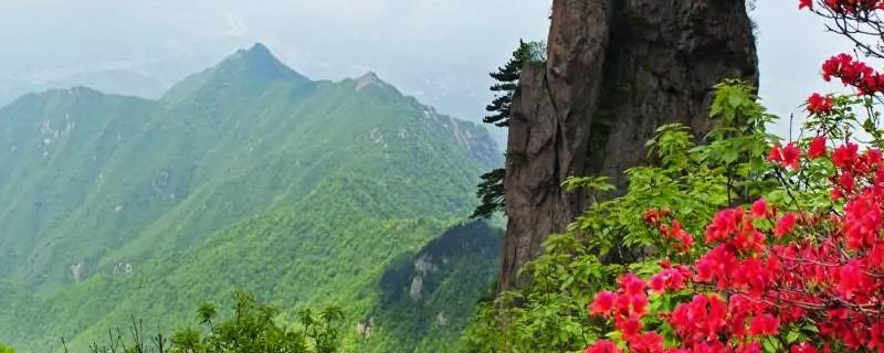 金刚台在哪个城市（金刚台在哪个省）