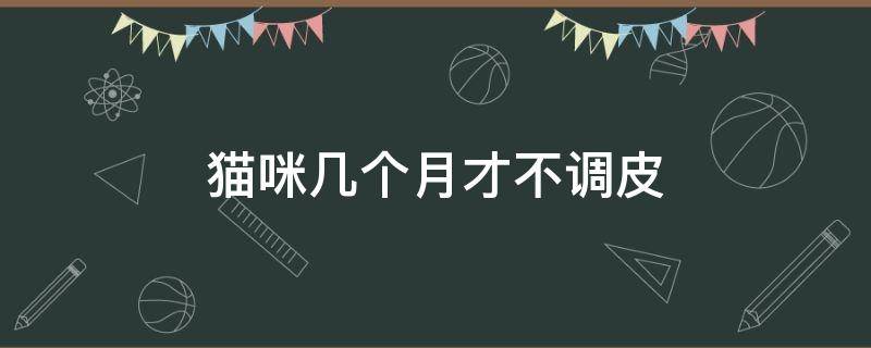 猫咪几个月才不调皮 猫几个月大才不调皮