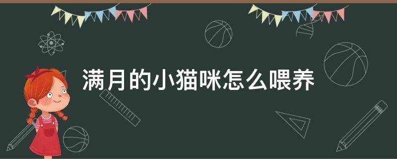 满月的小猫咪怎么喂养（怎么喂养刚满月的小猫）