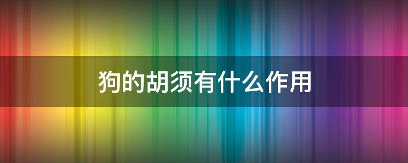 狗的胡须有什么作用 狗狗的胡须有什么用