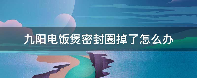 九阳电饭煲密封圈掉了怎么办 电饭煲不可拆卸的密封圈坏了怎么办