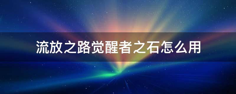 流放之路觉醒者之石怎么用 流放之路觉醒石锁前