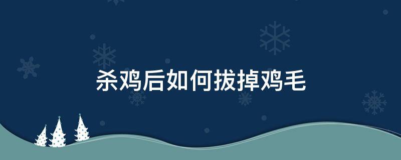 杀鸡后如何拔掉鸡毛（杀鸡后怎样去鸡毛）