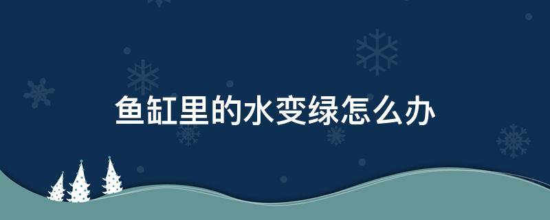 鱼缸里的水变绿怎么办（鱼缸里的水容易变绿怎么办）