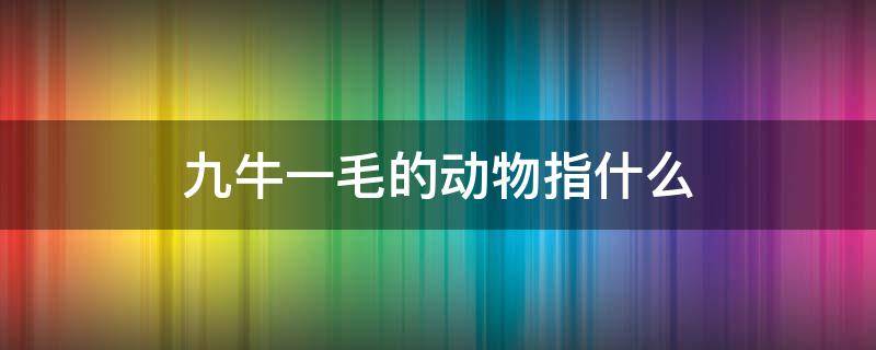 九牛一毛的动物指什么（十二生肖九牛一毛的动物是什么）