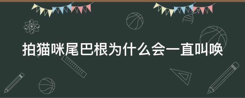 拍猫咪尾巴根为什么会一直叫唤（拍猫咪尾巴根为什么会一直叫唤）