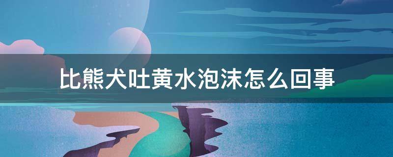 比熊犬吐黄水泡沫怎么回事 比熊犬早上吐黄水泡沫