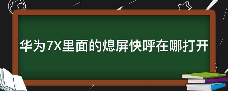 华为7X里面的熄屏快呼在哪打开