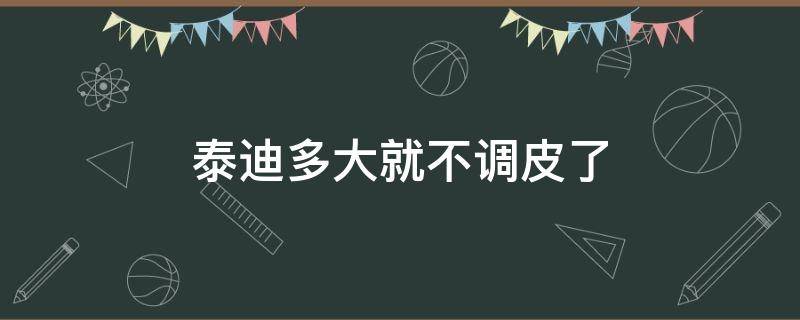 泰迪多大就不调皮了 泰迪几个月开始不调皮