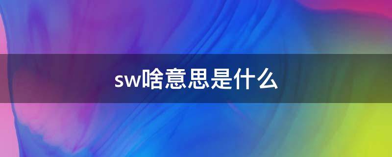 sw啥意思是什么 sw是什么意思呢