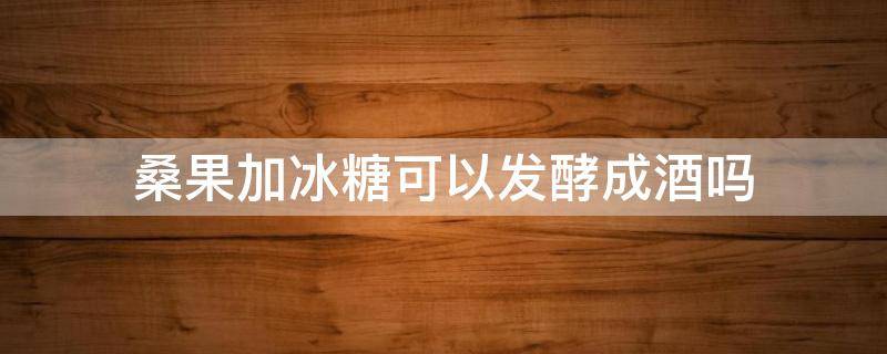 桑果加冰糖可以发酵成酒吗 桑果能发酵变成酒吗,什么做?