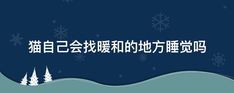 猫自己会找暖和的地方睡觉吗（猫会找个暖和的地方,成天睡大觉）