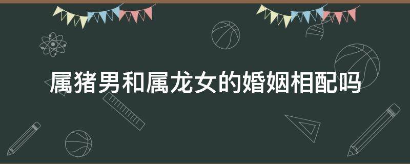 属猪男和属龙女的婚姻相配吗 属猪女和属龙男的相配吗,婚姻状况怎么样