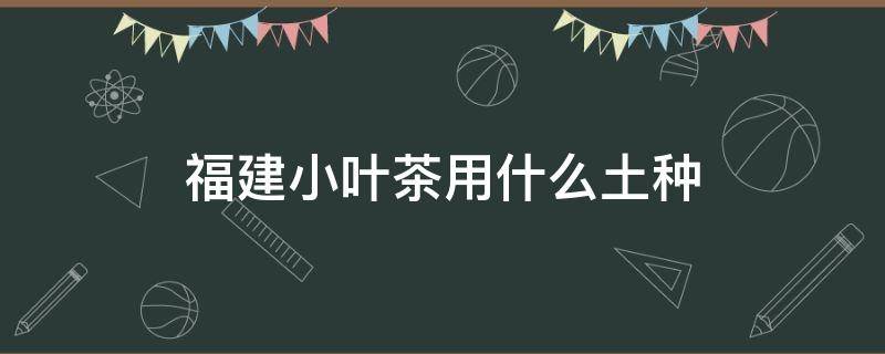 福建小叶茶用什么土种（福建茶盆栽用什么土）