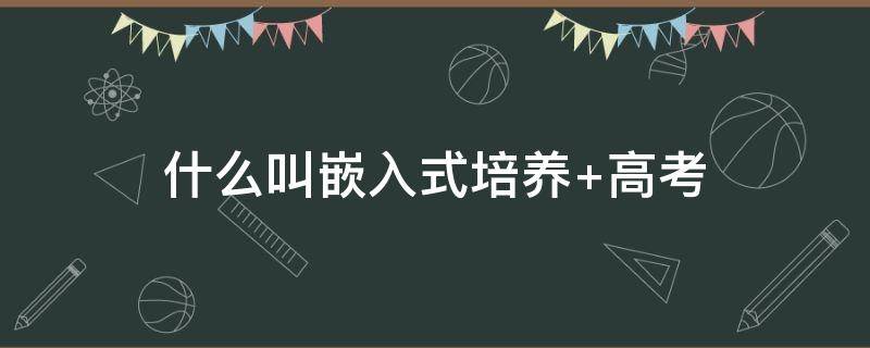 什么叫嵌入式培养 什么叫嵌入式培养大学