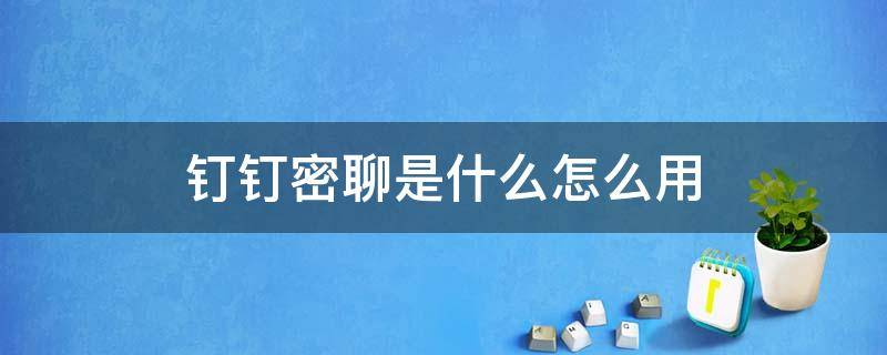 钉钉密聊是什么怎么用 钉钉密聊有什么用