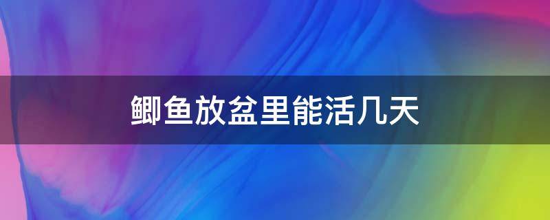 鲫鱼放盆里能活几天（鲫鱼放在家里水盆里能活多久）