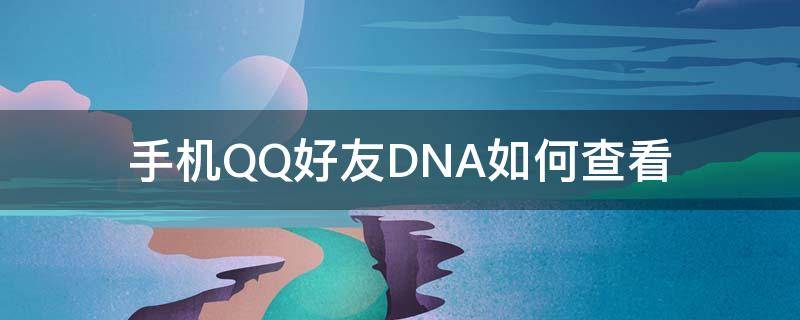 手机QQ好友DNA如何查看（qq怎么查看好友dna）