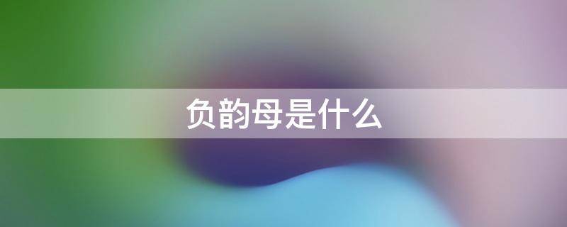 负韵母是什么（负韵母是什么字母）