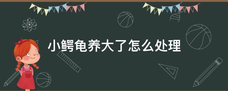 小鳄龟养大了怎么处理 小鳄龟长大了都是怎么处理的