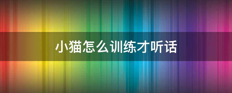 小猫怎么训练才听话 小猫怎样训练听话