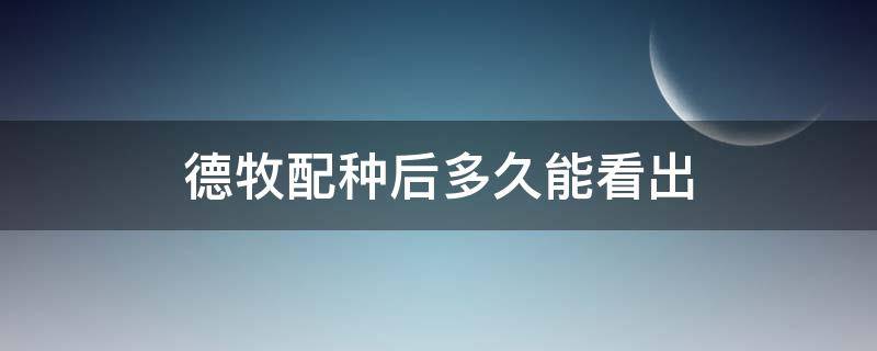 德牧配种后多久能看出（德牧犬配种要多久生）