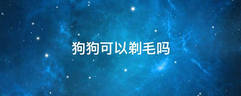 狗狗可以剃毛吗 4个月狗狗可以剃毛吗