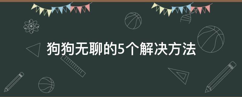 狗狗无聊的5个解决方法 狗狗每天好无聊