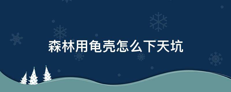 森林用龟壳怎么下天坑 森林天坑用龟壳怎么下去