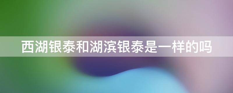 西湖银泰和湖滨银泰是一样的吗 西湖银泰和湖滨银泰是一样的吗