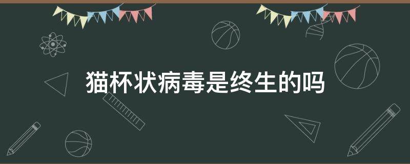 猫杯状病毒是终生的吗 猫杯状病毒是终生携带吗