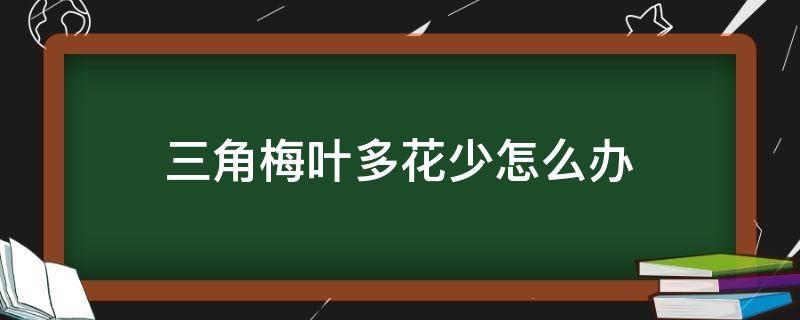 三角梅叶多花少怎么办 三角梅叶多花少是怎么回事