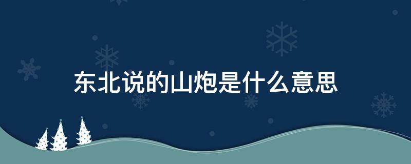 东北说的山炮是什么意思（东北话里的山炮是什么意思）