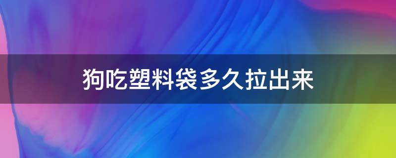 狗吃塑料袋多久拉出来 狗吃了塑料袋多久能拉出来