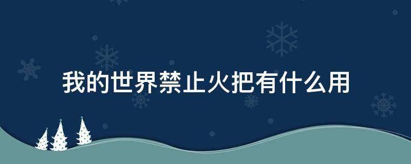 我的世界禁止火把有什么用 我的世界中禁止火把有什么用