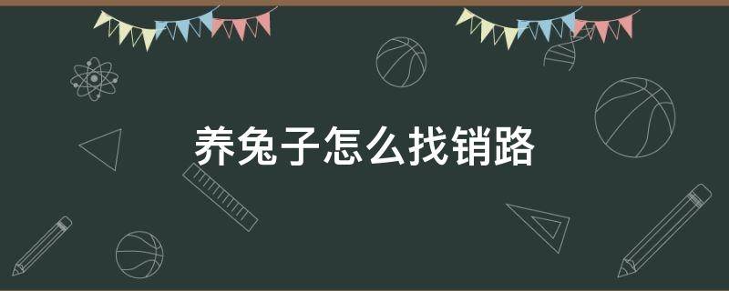 养兔子怎么找销路 养兔子怎么找销路人