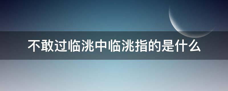 不敢过临洮中临洮指的是什么（不敢过临洮的临洮在哪里）