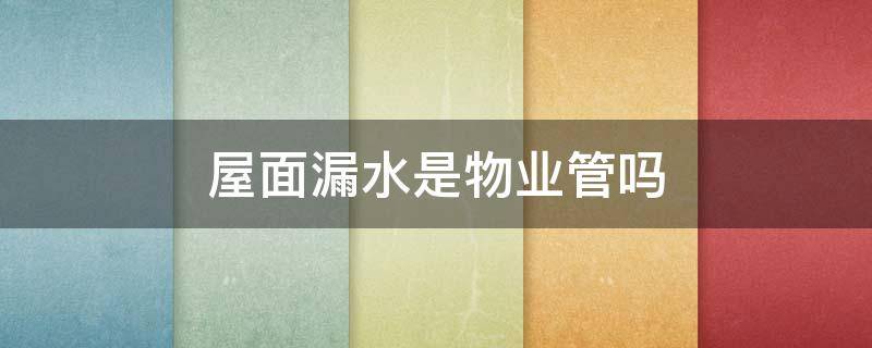 屋面漏水是物业管吗 小区墙面漏水物业管吗