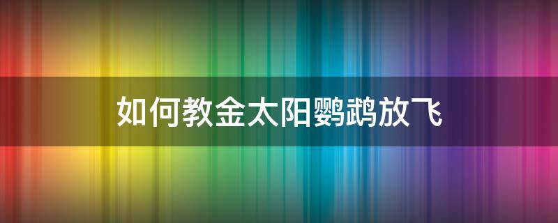 如何教金太阳鹦鹉放飞（太阳鹦鹉怎么训练）