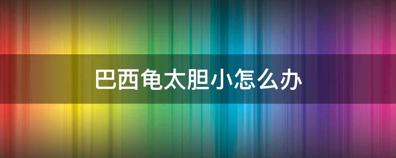 巴西龟太胆小怎么办 巴西龟害怕怎么办