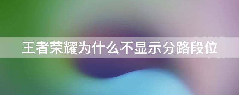 王者荣耀为什么不显示分路段位 王者荣耀为什么不显示分路段位