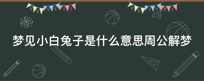 梦见小白兔子是什么意思周公解梦 男人梦见兔子好不好